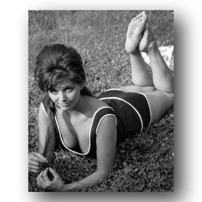 Claudia Cardinale Photo 8x10 Italian Actress Portrait-2