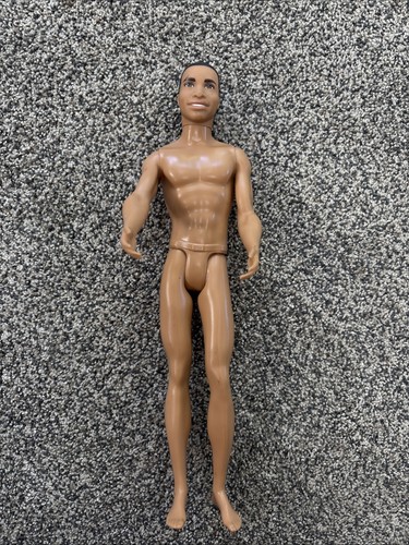 Barbie Model Muse Ken AA Doll Brunette Steven African American 2013