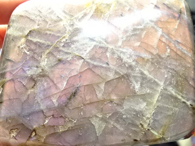 Picture 5 of 7