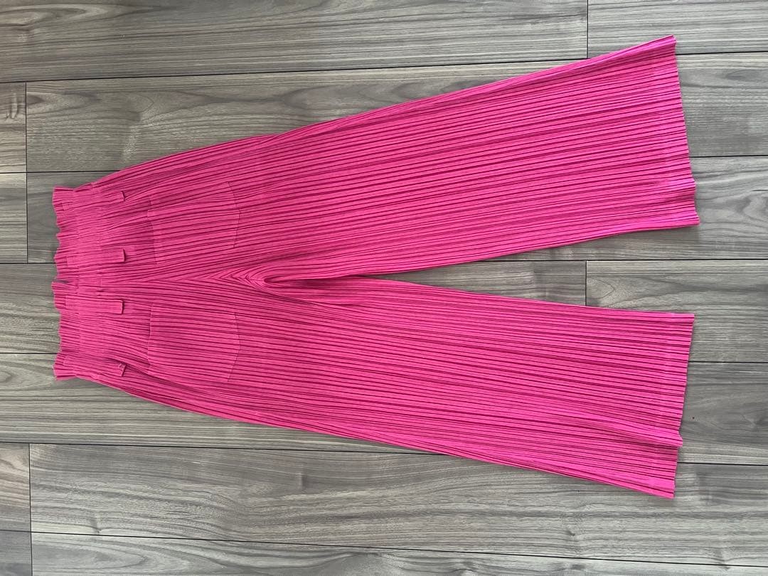 PLEATS PLEASE ISSEY MIYAKE Pants 4 Used | eBay