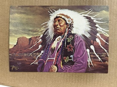 Postcard Chief Red Deer Indian Art Painting Artist Paul Starlings Vintage PC