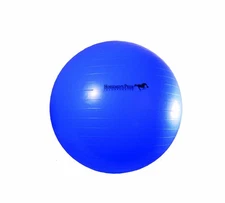 Horsemen's Pride Jolly Mega Ball Equine Heavy-Duty Anti-Burst Pump Plug 30 inch