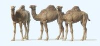 Preiser Figurensatz 1:87 Dromedare Exklusiv Serie 20397