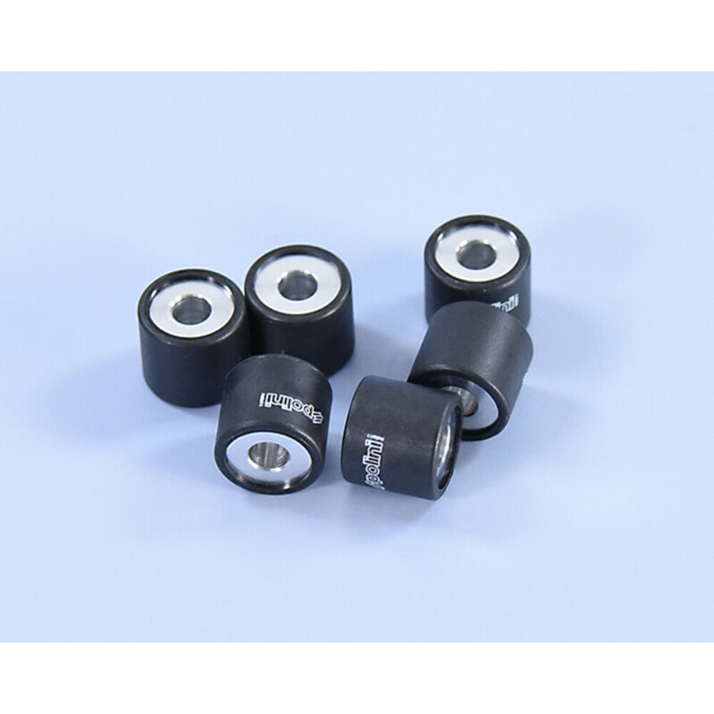 Polini Variator Rollers 19X17Mm 8.4Gr - 6 Pieces For Motorcycle Parts