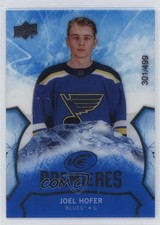 2021-22 Upper Deck Ice 2020-21 Base Ice Premieres 301/499 Joel Hofer #167 1cx3