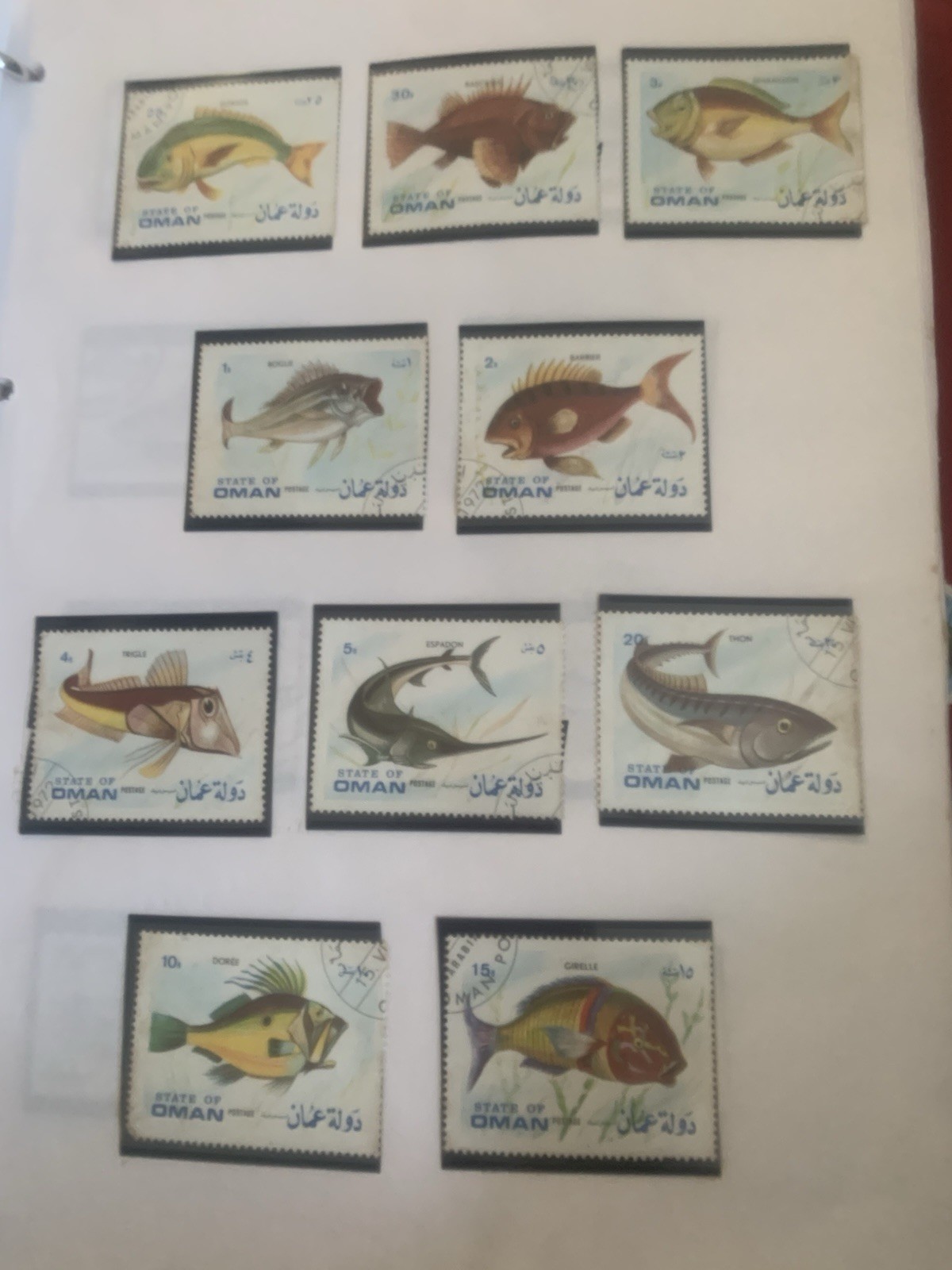 Picture 11 of 24