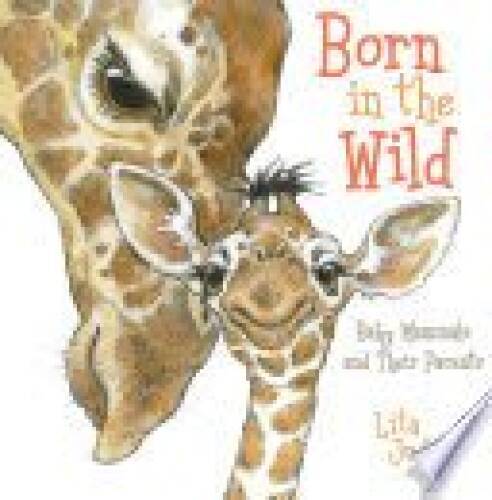 Born In The Wild Baby Mammals and Their Parents - Paperback By Lita Judge - GOOD