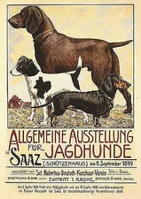 Jagdhunde Allgemeine Ausstellung f&uuml;r Jagdhunde Saaz 1899 Sct Hubertus Plakat 3