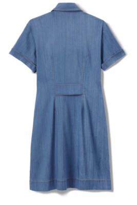 cabi denim dress Daydream Dress