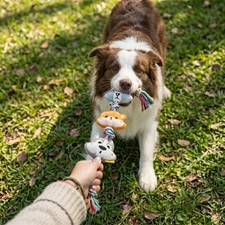 Plush Rope Dog Toy 3 Animal Characters Knotted Braided Rope Tug Indoor Outdoor