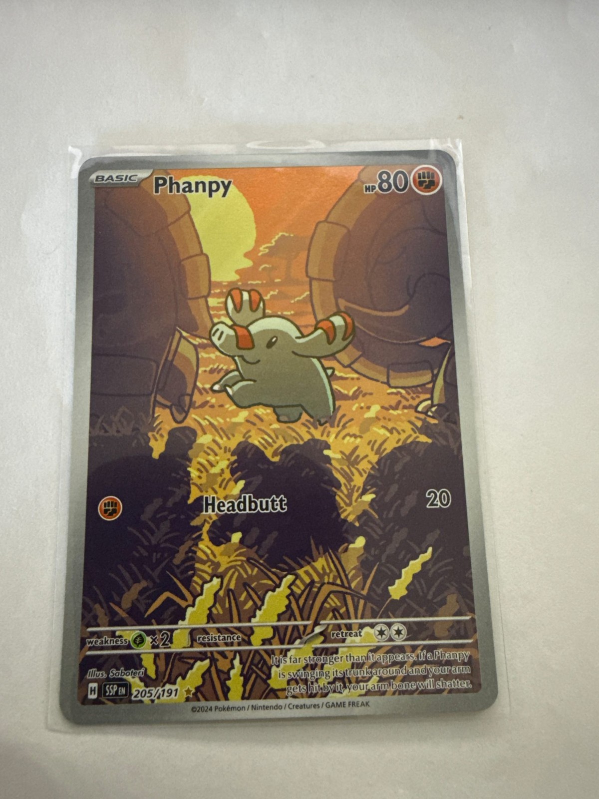 Phanpy Holofoil [SSP - 205/191] NM