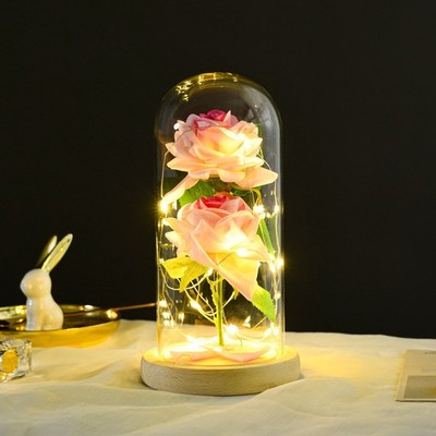 LED Ewige Rose im Glas für Frauen Geburtstag Schöne Biest Valentinstag Geschenk