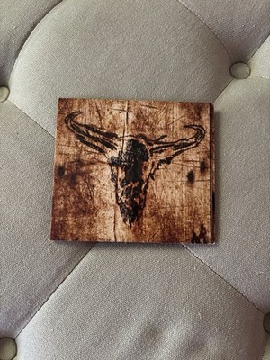 Upon A Burning Body Southern Hostility CD RARE SNS007