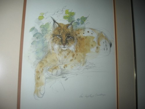 "Lynx Lynx" Watercolor Print Signed Mads Stage Danish Artist Framed 18"x14" - Picture 3 of 10