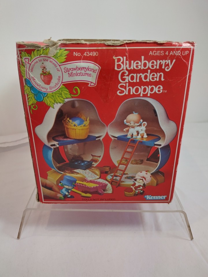 Strawberry Shortcake BlueBerry Garden Shoppe With Accessories In Box