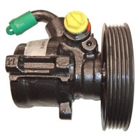 Hydraulikpumpe Lenkung Lizarte 04.05.0300-9 FüR Peugeot 106 I