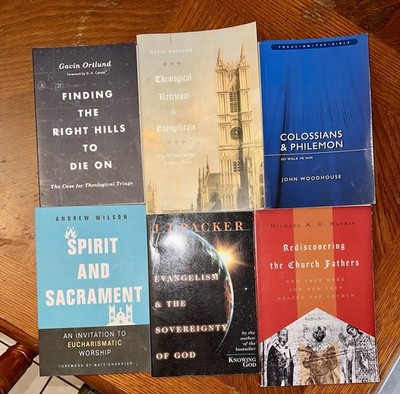 Reformed Christian Theology 6 Book Lot Packer Ortlund Woodhouse Haykin Wilson
