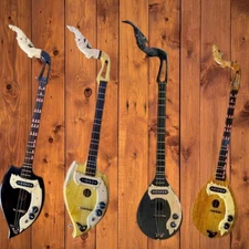 🎶 3-String Acoustic-Electric Phin - 15 Frets - 4 Styles Available! 🎸