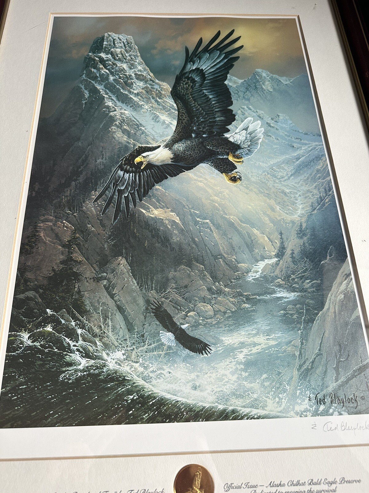 Picture 2 of 7