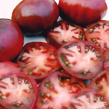 50 Black Sea Man, Tomato Seeds NON-GMO determinate Heirloom