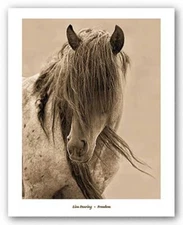 Freedom ART PRINT by Lisa Dearing Image Size 20" x 26"