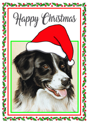 BORDER COLLIE HUND WEIHNACHTSMANNMÜTZE QUALITÄT GLÄNZEND WEIHNACHTSKARTE 8''x 6'' KOSTENLOSER VERSAND