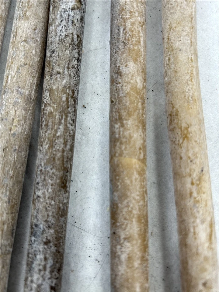 velas antiguas cera de abejas de sebo hechas a mano 6 piezas 10 en réplica siglo XVIII siglo XIX Foto 3 de 4