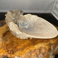 New The Crystal Goblet Noble Collection Harry Potter Dumbledore Prop Replica (C)