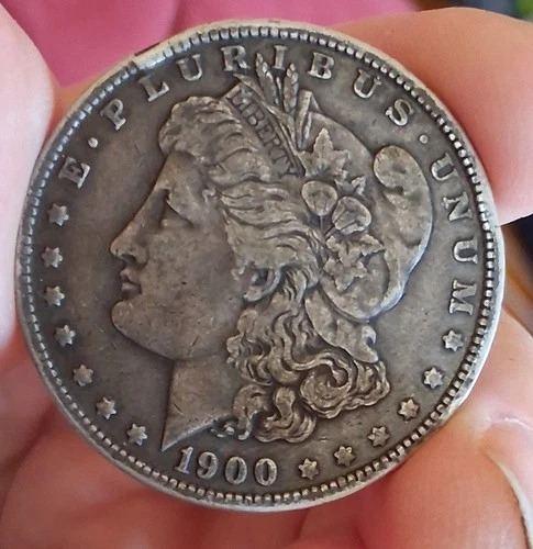 1900 Morgan Dollar..Small Bump on Reeds and Rims