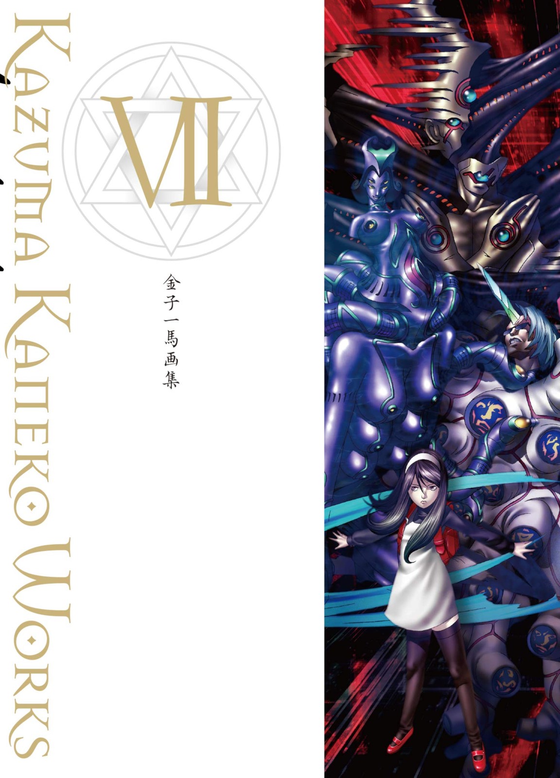 Kaneko Kazuma Art Collection VII