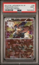 テラキオン 038/BW-P Terrakion - 038/BW-P 038/BW-P BW-P Promotional cards Holo