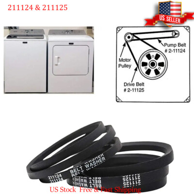 Cinghia Per Lavatrice Whirlpool Modello AWO81035 - Bandi Srl - Foto 5