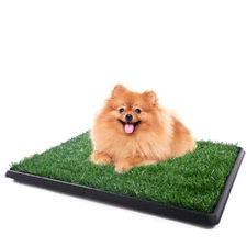 PENNYNANA New Pet Potty Grass Mat Dog Puppy Training Pee Patch Pad Toilet Indoor