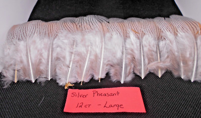 Fly Tying Feathers - Duck Quills, Turkey Quills, Turkey Tails & More