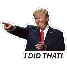 100x Trump I Did That Stickers   Waterproof Vinyl Decal Pack