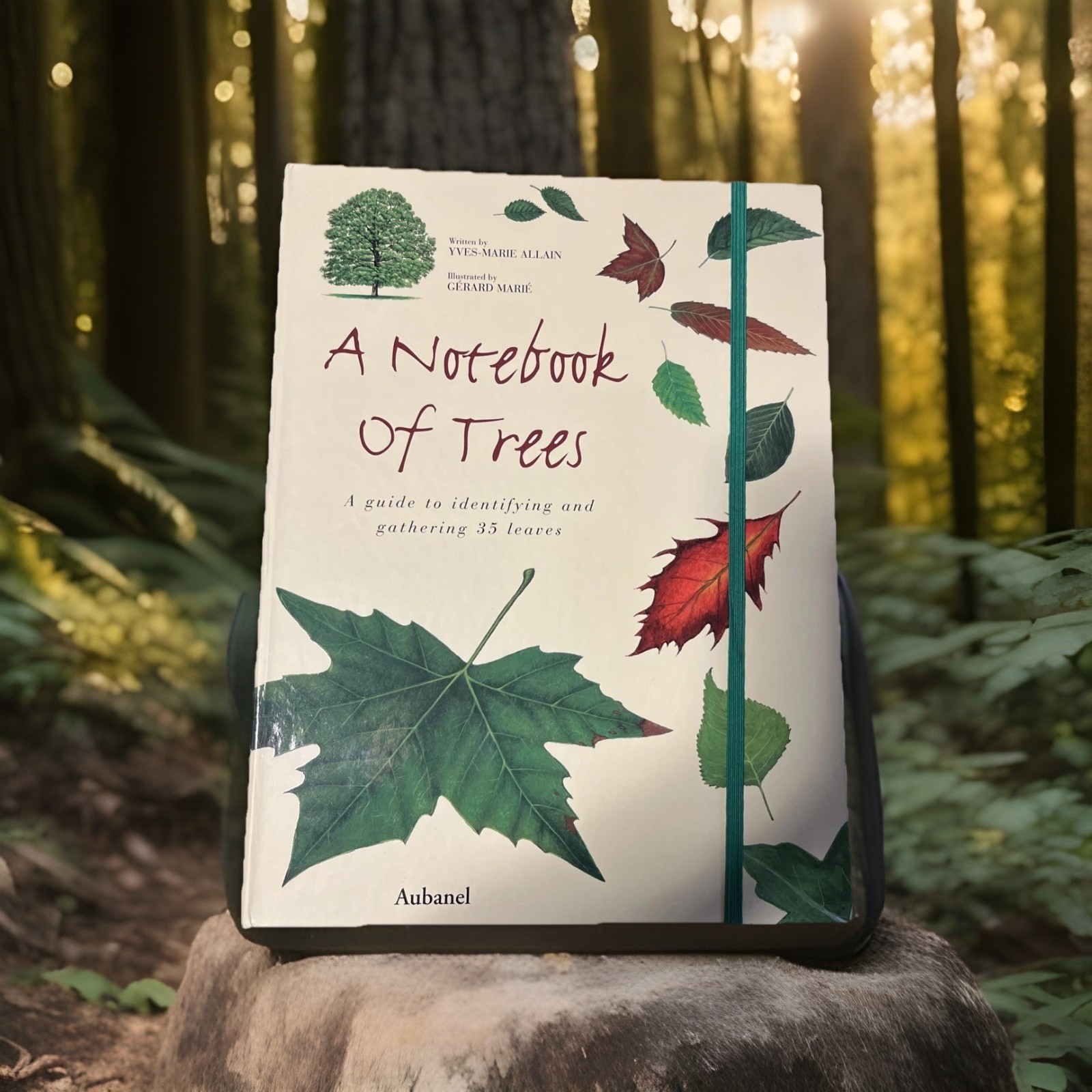 Notebook of Trees Guide to Identifying and Gathering 35 Leaves by Yves-Marie Allain 2004 Hardcover-image