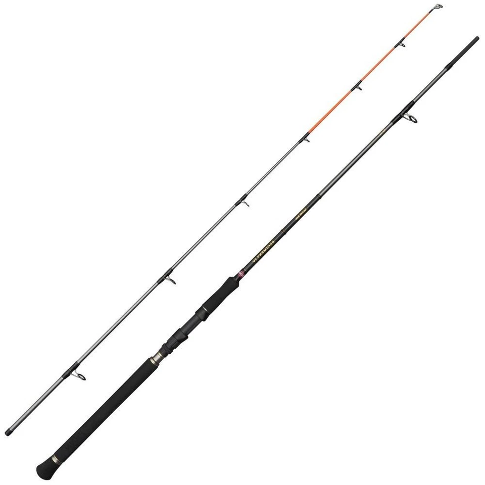 Penn Regiment IV Spin/Pilk Rod 2,40 m/100-250 g Foto 2 de 4