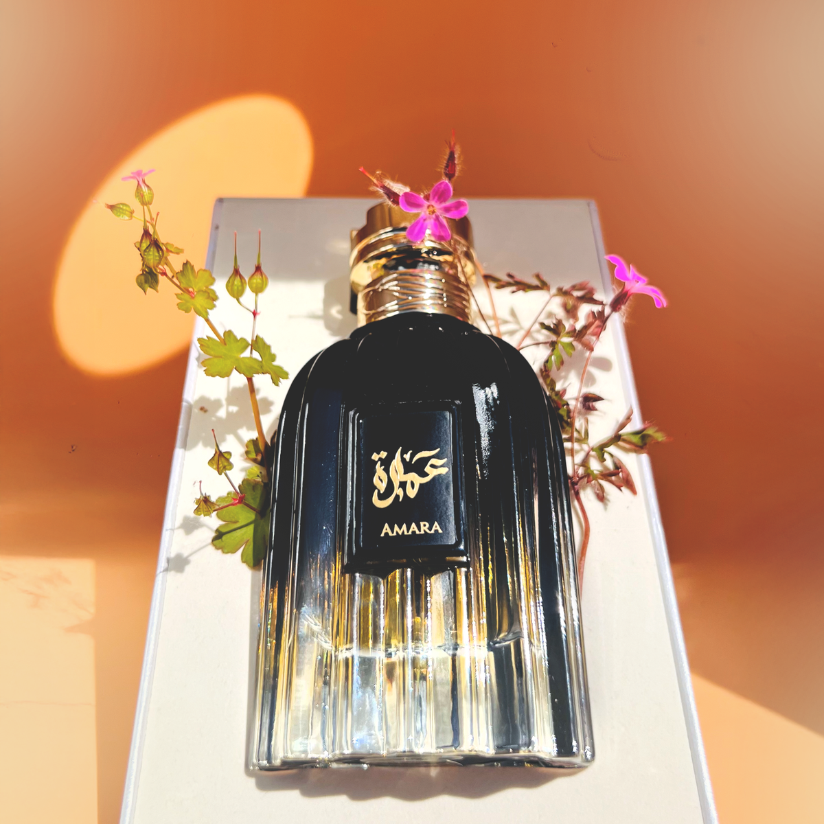 Amara by French Arabian Perfume 100ml Eau de Perfume for Women