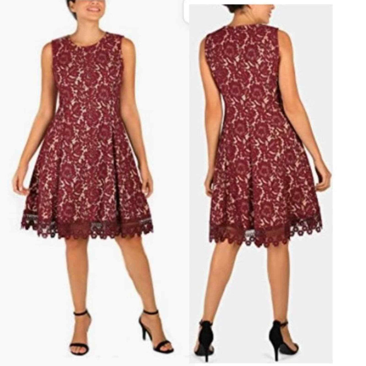 Donna ricco lace dress sales