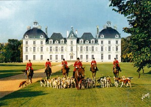 Détails Sur Carte Postale Cheverny Le Château Chasse à Courre Les Piqueux Et La Meute 4