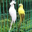 thumbnail 4 - 25CM Fake Parrot Artificial Birds Model Outdoor Home Garden Lawn Tree Decoration