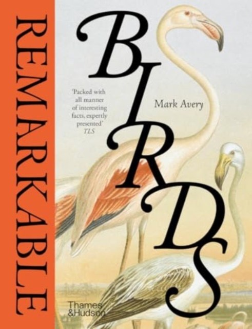 Remarkable Birds - Image 5