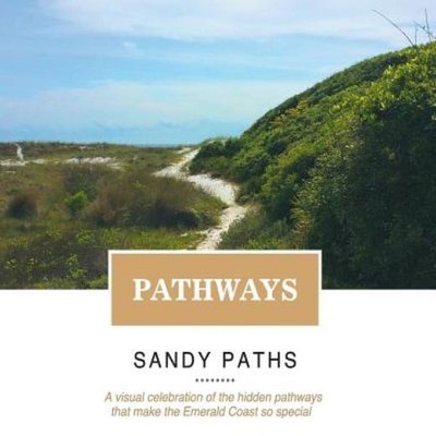 Pathways: A Visual Celebration Of The Hidden Pathways That M...