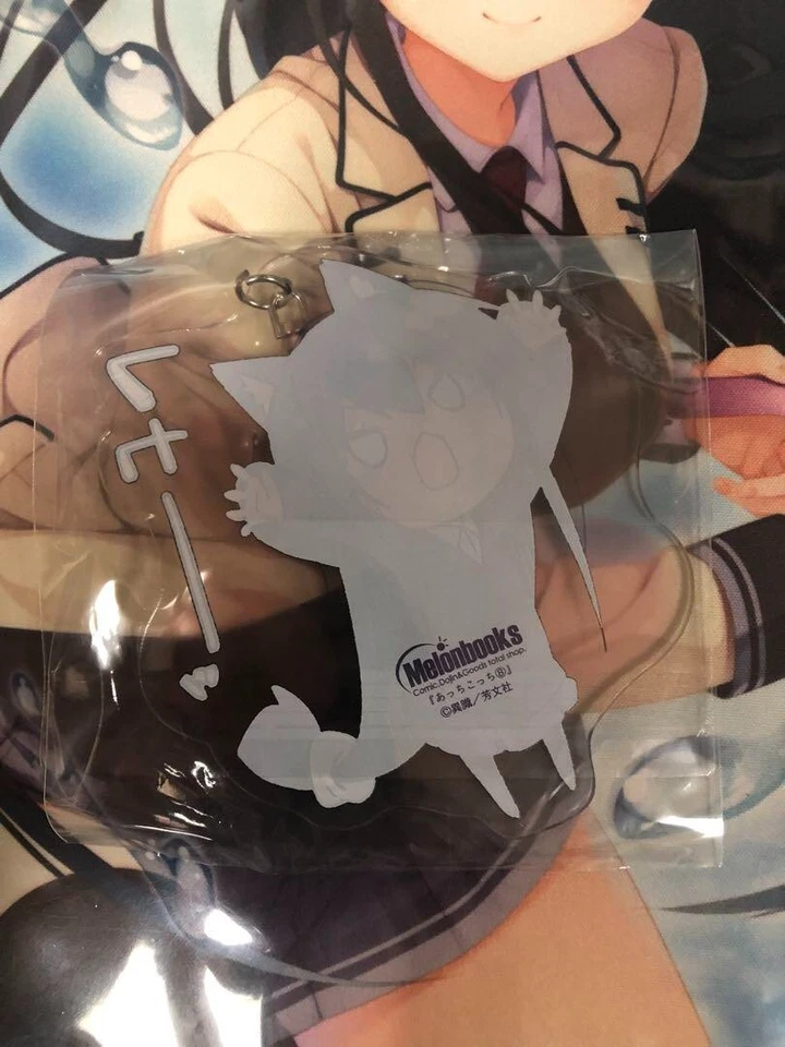 Acchi Kocchi Tsumiki Miniwa Acrylic Keychain Benefits Rare - Image 2 of 2