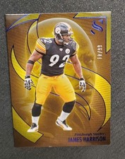 2025 Silhouette James Harrison Pittsburgh Steelers /99
