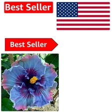 30 Rare Fairy Dust Hibiscus Seeds – Vibrant Perennial Blooms for Outdoor Gardens