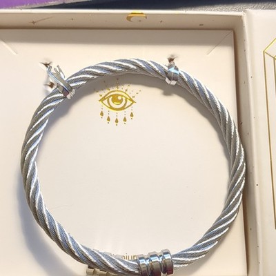 ARMCANDY LOS ANGELES Luxe Collection Titanium Silver Bangle Bracelet FREE SHIP 