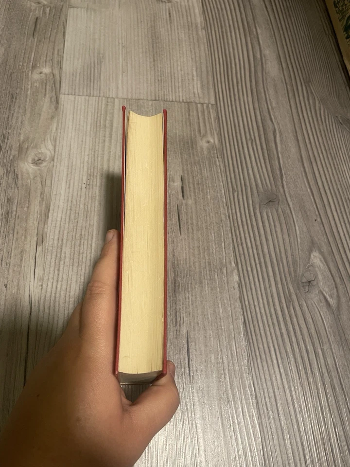 Die Dämonen von F. M. DOSTOJEWSKI - Bild 4 von 4