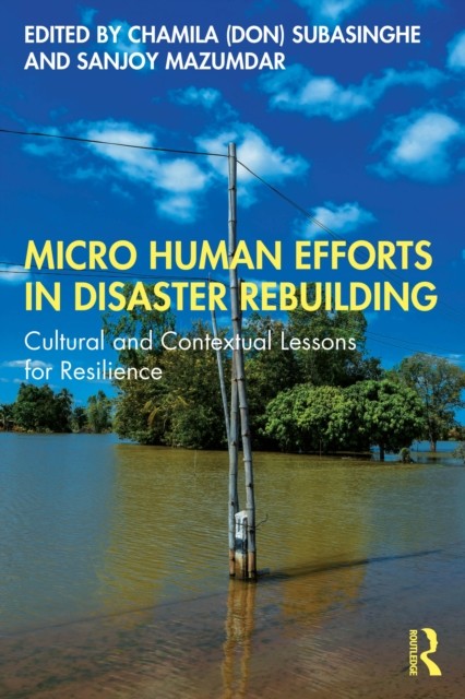 Micro Human Efforts In Disaster Rebuild
