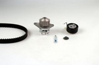 Hepu PK08460 Wasserpumpe + Zahnriemensatz FüR CitroËN Peugeot